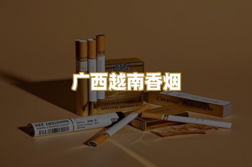 广西越南香烟